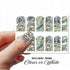 Scattered Benjamin Bill Money
