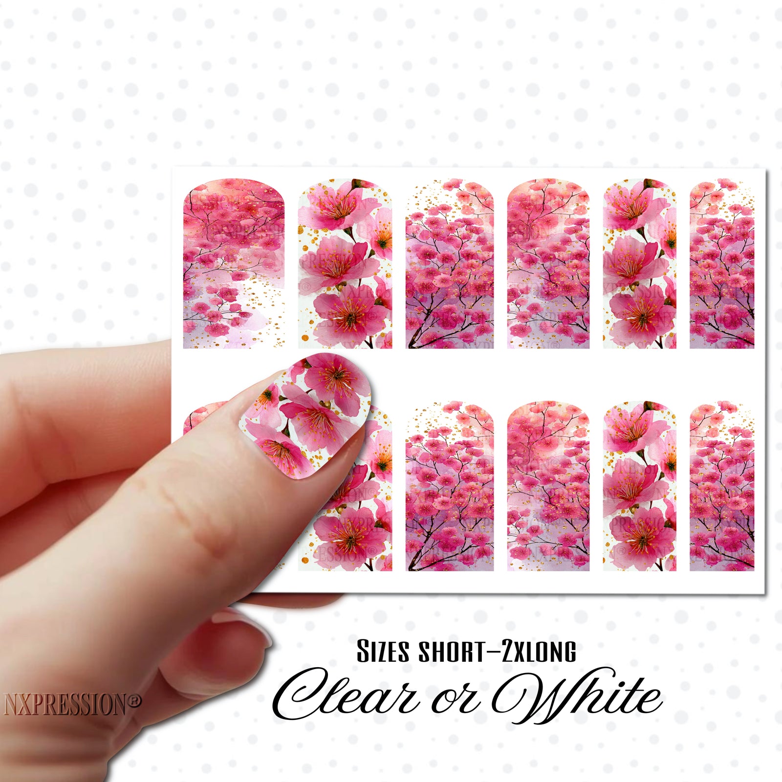 Cherry Blossoms