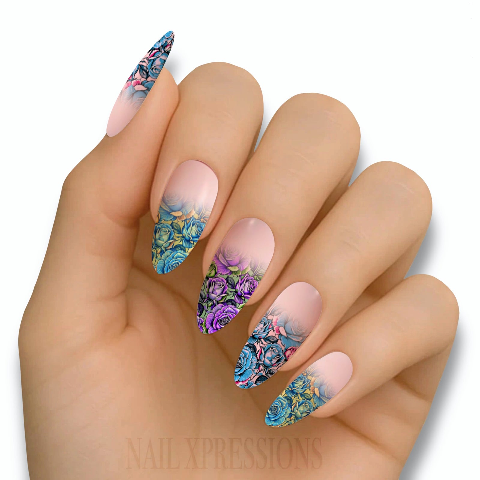 Roses in Bloom